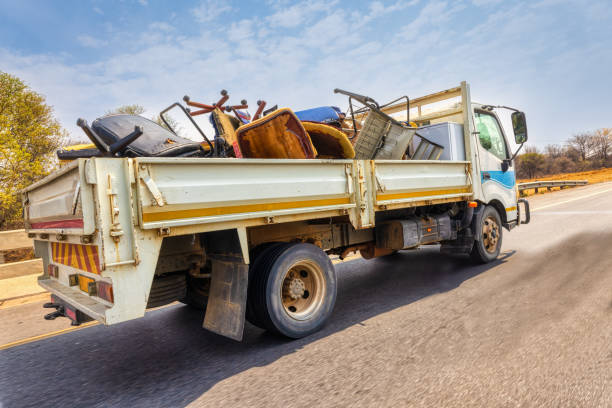 Best Yard Cleanup Services  in North Fork, AZ